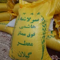 برنج سرلاشه هاشمی اصل