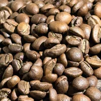 برشته کاری و پخش قهوه