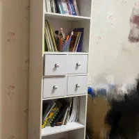 کتابخانه|کتابخانه، شلف، قفسه‌های دیواری|شیراز, تپه تلویزیون|دیوار