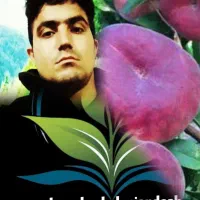 برای ادمین فروش نهال درصدی با من در ارتباط باشید|استخدام بازاریابی و فروش|گرگان, |دیوار