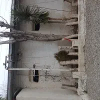 سالن|فروش دفتر صنعتی، کشاورزی، تجاری|قلعه نو, |دیوار