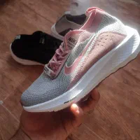 کفش جورابی|کیف، کفش، کمربند|دورود, |دیوار