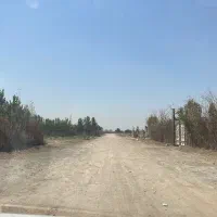 1000-متر-زمین-مزروعی-ایرین