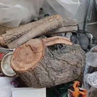 تنه و کنده خشک چوب برای ساخت ذغال