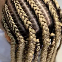 خدمات و آموزش بافت مو