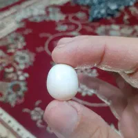 دندان سنگی و گوی الماس اسیاب