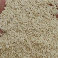 برنج علی کاظمی بروجرد