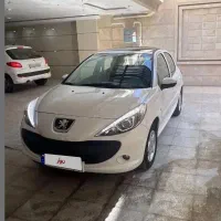 ۲۰۷ پاناروما دنده ای