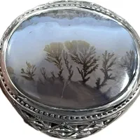 شجرقائنات فدیوم ساواس