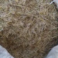 کاه زرد|لوازم جانبی حیوانات|باوله, |دیوار