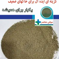 کود معدنی ارگانیک بازالت سبز( اولین بار در ایران)|خدمات باغبانی و درختکاری|کرج, فاز ۱ مهرشهر|دیوار