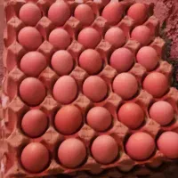 تخم مرغ گلپایگانی