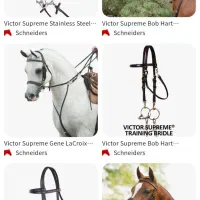 سرکلگی اسب دو منظوره آمریکایی متعلق به ۸۰ سال قبل|اسب و تجهیزات اسبسواری|کرمان, |دیوار