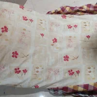 رختخواب نونو|رختخواب، بالش، پتو|یزد, |دیوار