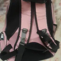 کوله حمل پت