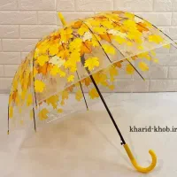 چتر پیدا شده