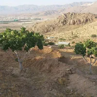 فروش یا معاوضه ملک انجیر|فروش زمین و ملک کلنگی|نی‌ریز, |دیوار