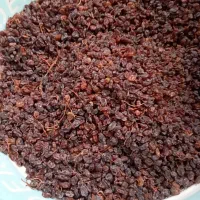 کشمش|خوردنی و آشامیدنی|اندیشه, اندیشه فاز ۲|دیوار