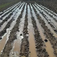 زمین-کشاورزی-با-آب