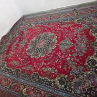 فرش ۱۲ متری|فرش|سمنان, |دیوار