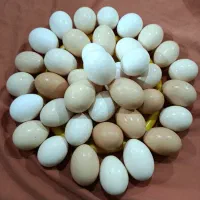 تخم مرغ محلی