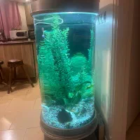 فروش اکواریوم