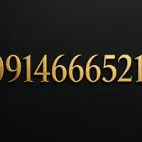 ۰۹۱۴۶۶۶۵۲۱۱