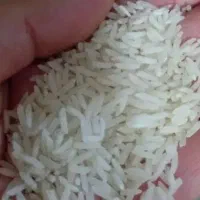 برنج ایرانی درجه یک علاء علاء