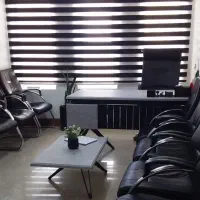 فرصت شغلی ویژه بانوان دارای خودرو