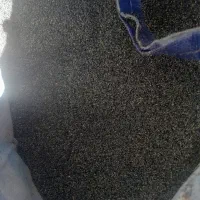 بذر کشاورزی  درجه یک