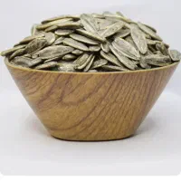 تخمه آفتابگردان