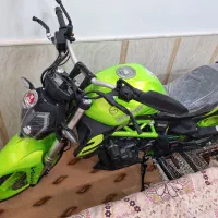 بنللی ۳۰۰ خشک سند کارتکس