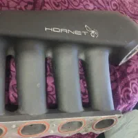 مینیفولد هورنت