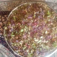 زرشک کوهی تازه|خوردنی و آشامیدنی|شیراز, حجت آباد|دیوار