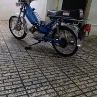 موتود