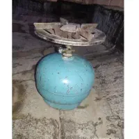 پیکنیک ۲ کلیوی سالم