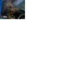 نیسان ۸۵|خودرو سواری و وانت|رشت, جهاد|دیوار