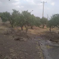 فروش زمین ۵۳۵ م محدود پل زمانخان|فروش زمین و ملک کلنگی|مبارکه, |دیوار