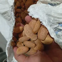 بادام درجه یک عمده و خرده