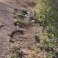 زمین کشاورزی مزرعه