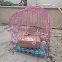 قفس پرنده