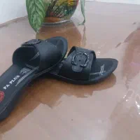 کفش و صندل زنانه و مردانه و بچگانه|کیف، کفش، کمربند|ایوان, |دیوار