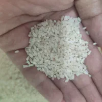 برنج هاشمی و چای اصل و زیتون گیلانی|خوردنی و آشامیدنی|نسیمشهر, |دیوار