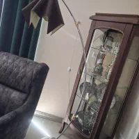 اباژور ایستاده کنار سالنی