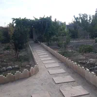 باغچه-تهاتر-با