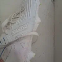 کفش استوک دار هست .