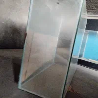 آکواریوم|ماهی|بردسکن, |دیوار