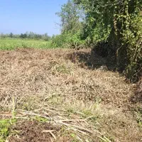 208متر کامل مسکونی|فروش زمین و ملک کلنگی|فومن, |دیوار