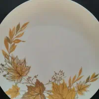 پلو خوری ملامین