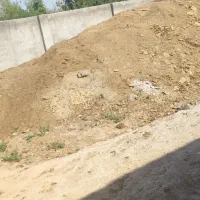 کود گوسفندی درجه یک